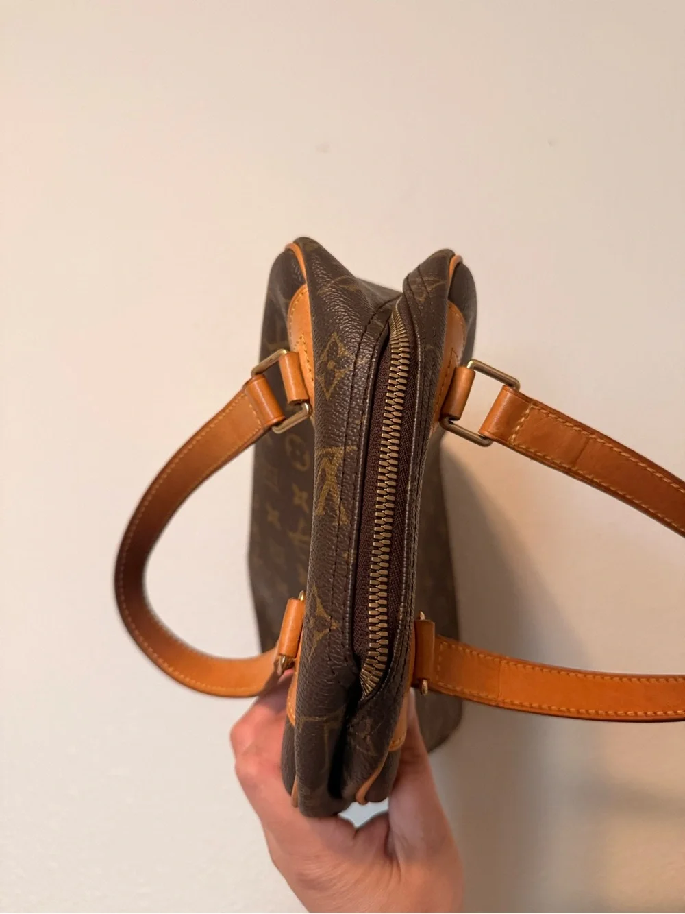 Louis Vuitton Monogram Excursion Shoe Bag